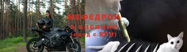 мяу мяу мука Баксан