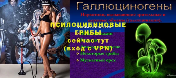 мяу мяу мука Баксан