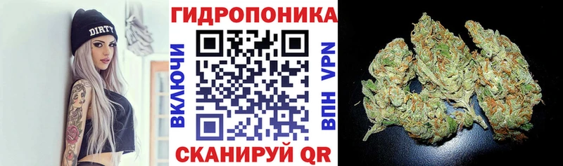 Канабис OG Kush Кумертау
